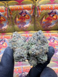 Pink Headbuss😵, Topical treez Ontario, Tropical tree Canada, Buy tropical treez gas, Buy tropical treez gas Ontario, Buy tropical treez gas canada